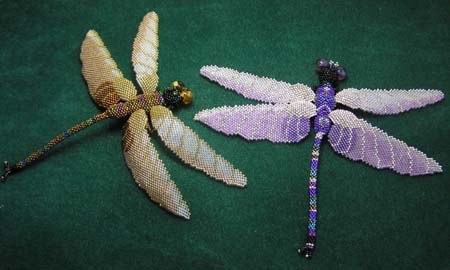 Brown And Purple Dragonfly